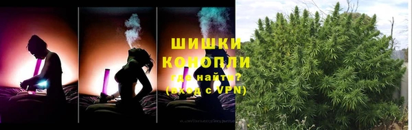 2c-b Козельск