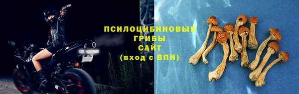 экстази Козловка
