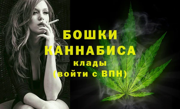 стаф Пенза