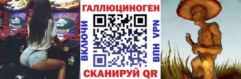 Галлюциногенные грибы Psilocybine cubensis  Бронницы 